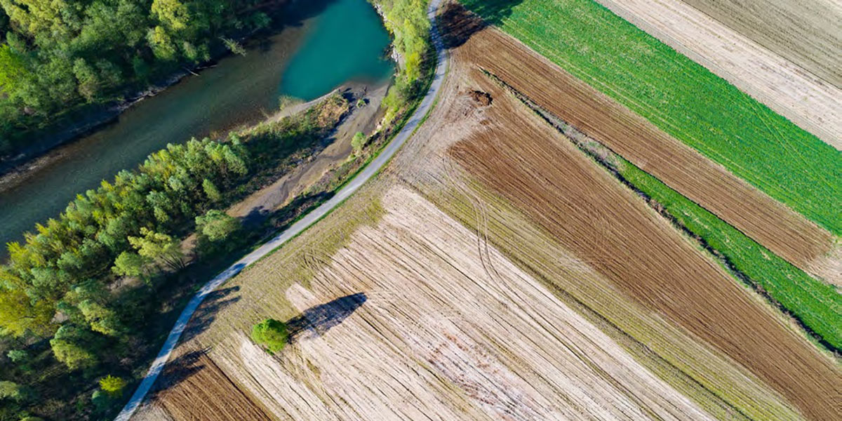 Il carbon farming nuova frontiera contro i cambiamenti climatici